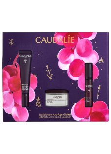 PREMIER CRU COFANETTO XMAS 2025 PREMIER CRU YEUX 15 ML + PREMIER CRU SIERO 10 ML + PREMIER CRU CREMA 15 ML PREMIER CRU COFANETTO XMAS 2025 PREMIER CRU YEUX 15 ML + PREMIER CRU SIERO 10 ML + PREMIER CRU CREMA 15 ML