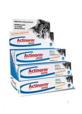 ACTINORM PASTA GATTI 65G