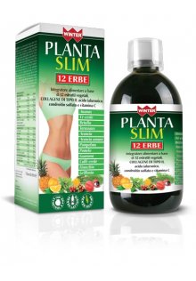 WINTER PLANTA SLIM 12 ERBE 500 ML