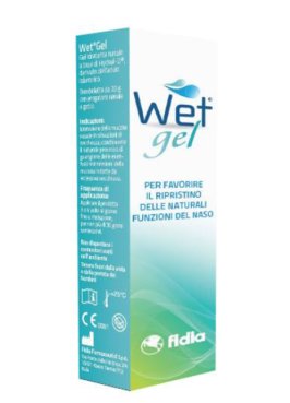 WET GEL 20 G